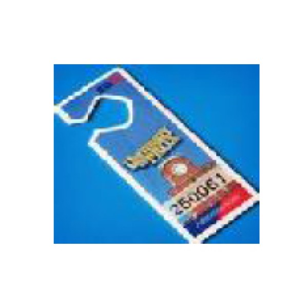 Long Range Passive Hang Tag - AAS 40-HT
